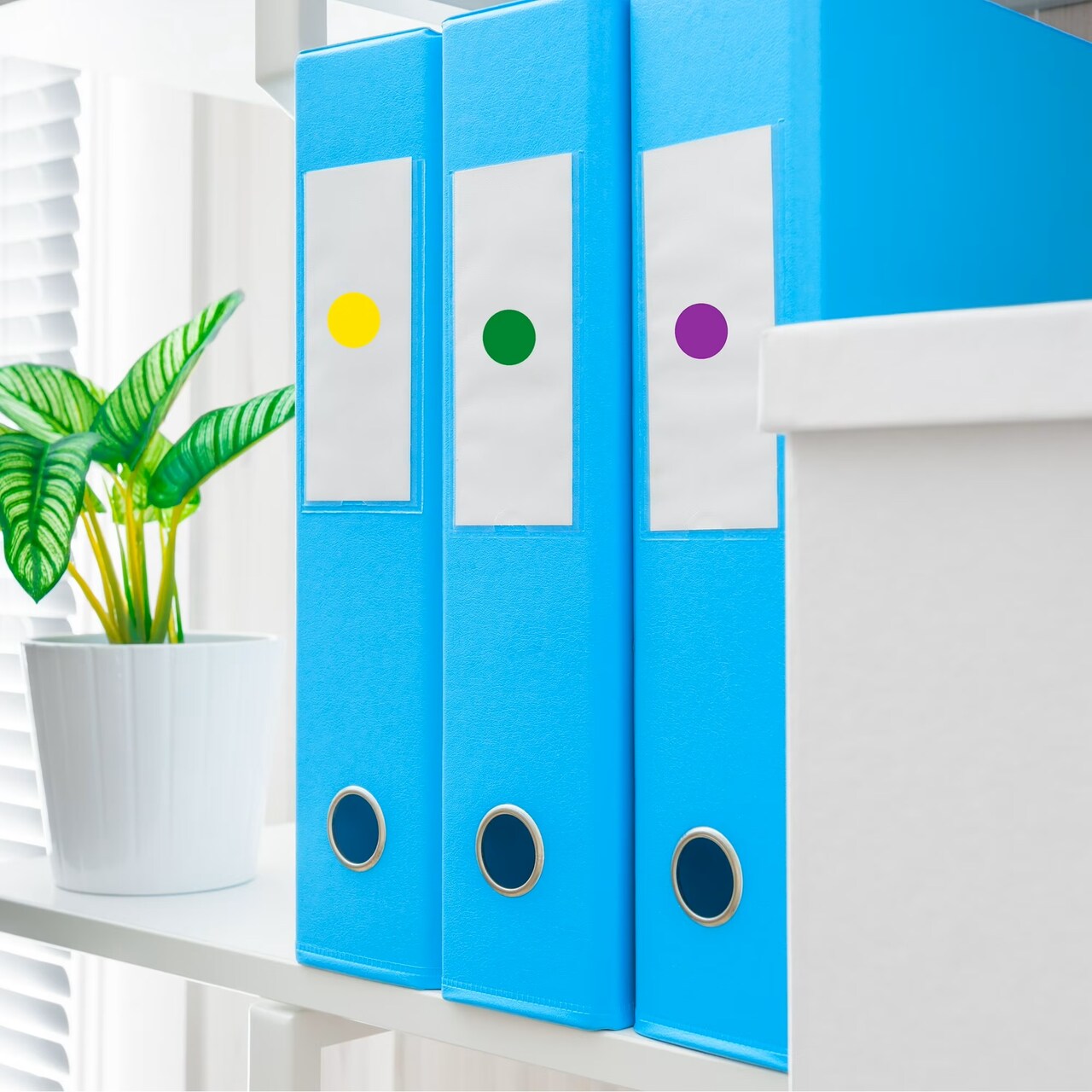 Colored Dot Stickers – 1" Round Adhesive Labels, 768 Pack for Crafts, Classrooms & Organization